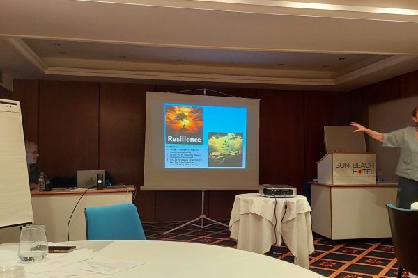 seminar 5